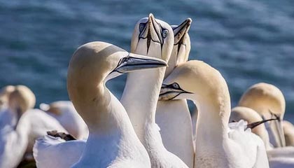 开云电竞登录-鲁尔区德比迎来高能比赛，鲁尔区德比体育市场化